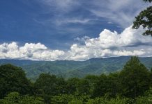 Rolling Appalachian Hills In North Carolina